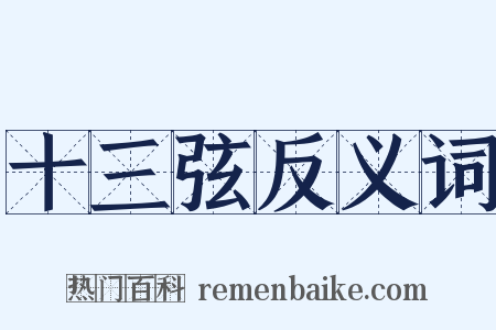 十三弦反义词是什么意思的图片